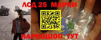 гидра Краснокаменск