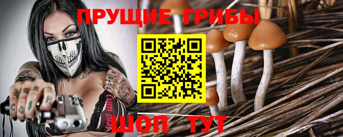 Галлюциногенные грибы MAGIC MUSHROOMS  Псилоцибиновые грибы мицелий  Вход с VPN  Калач-на-Дону 